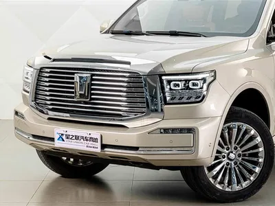 2022 Tank 500 3.0T Business Edition Zaojing 5-Seater, фото 3, лот 10344232