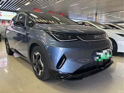 2025 BYD Dolphin Smart Drive Edition 420km Freedom Version, фото 2, лот 10253403