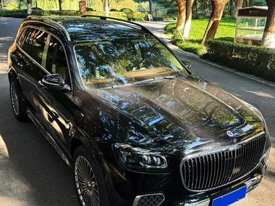 2023 Mercedes-Benz GLS 450 4MATIC Luxury Edition, фото 1, лот 10300142