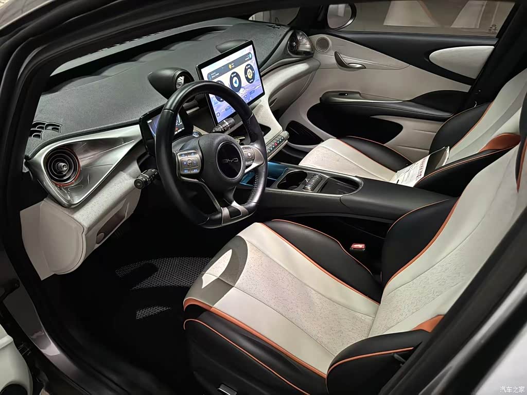 2021 BYD Dolphin Model 405km Fashion Edition, фото 4, лот 11217545
