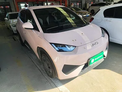 2025 BYD Seagull Smart Drive Edition 305km Vitality Version, фото 4, лот 11565868