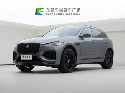 2024 Jaguar F-PACE P250 R-Dynamic SE, фото 1, лот 10304272