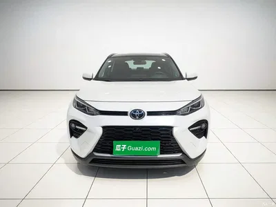 2023 Toyota Wildlander 2.0L CVT FWD Luxury PLUS, фото 2, лот 10390234