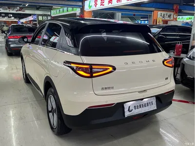 2025 Geely Galaxy Starry Wish 310km Youth Edition, фото 4, лот 10834561