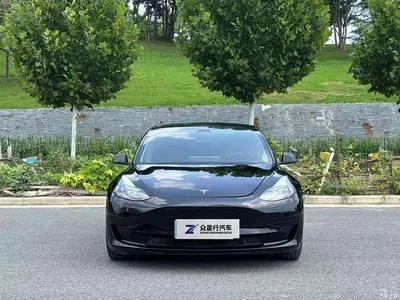 2021 Tesla Model 3 Standard Range Rear-Wheel Drive Upgrade 3D6, фото 3, лот 11243365