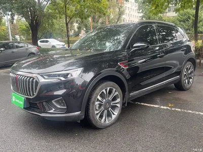 2019 Hongqi HS5 2.0T Smart Connect Enjoy 4WD Edition, фото 1, лот 10890485