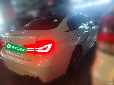 2019 BMW 3 Series 320Li M Sport Black Night Edition, фото 4, лот 11571473