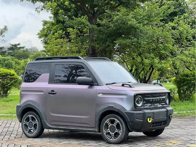 2025 Geely Galaxy Panda Model Year 210km Panda Knight, фото 4, лот 10431636