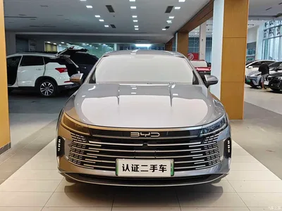 2023 BYD Destroyer 05 Champion Edition DM-i 55KM Luxury, фото 3, лот 11582615