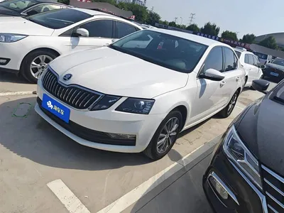2021 Škoda Octavia 1.5L Automatic Comfort, фото 1, лот 10655318