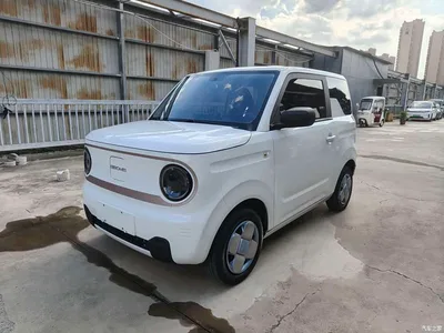 2023 Geely Galaxy Panda Mini 200km Endurance Bear, фото 1, лот 10430359