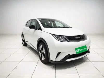 2023 BYD Dolphin 420km Fashion Edition, фото 2, лот 11191178