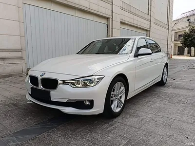 2017 BMW 3 Series 320Li Fashion, фото 1, лот 10479436