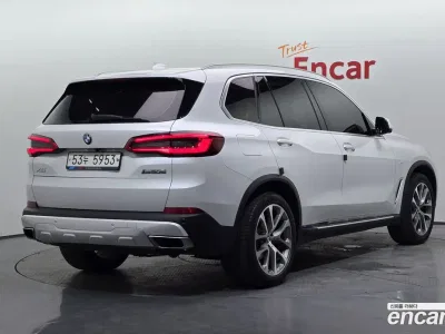 2019 BMW X5 xDrive 30d xLine, фото 1, лот 10076005