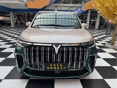 2022 Voyah Auto Voyah Dreamer Low-carbon Edition Think+Smart Driving Package, фото 2, лот 10358065