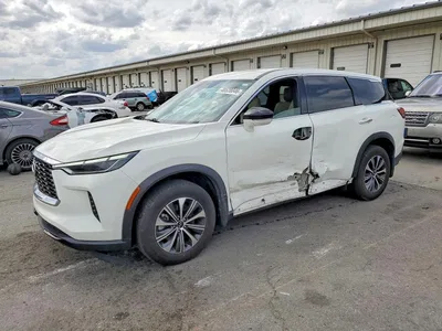 2023 INFINITI QX60 PURE, фото 1, лот 10882368