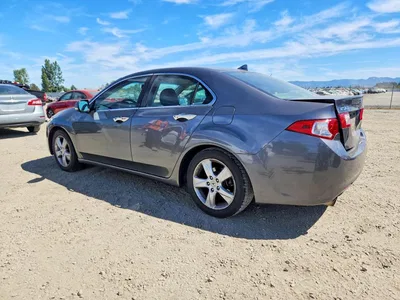 2009 ACURA TSX, фото 2, лот 10659596