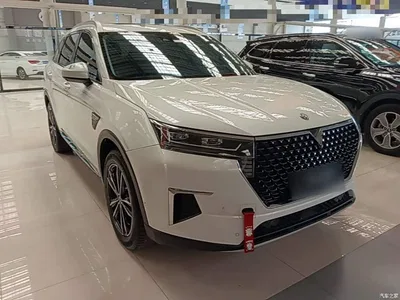 2020 Venucia Star 260T Automatic 48V Mild Hybrid Turbo Starlight Edition, фото 4, лот 11146656
