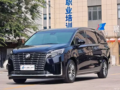 2023 Buick GL8 ES Landmaster Exclusive, фото 1, лот 10251842