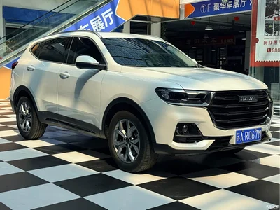 2021 Haval H6 Model National Trend Edition 1.5T Auto Champion, фото 3, лот 10296588