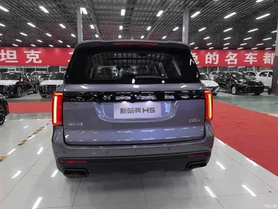 2023 Haval H5 2.0T Automatic 2WD Elite Edition Petrol, фото 3, лот 10283695