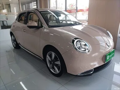 2023 Ora Good Cat 401km Standard Range Luxury LFP, фото 4, лот 11513349