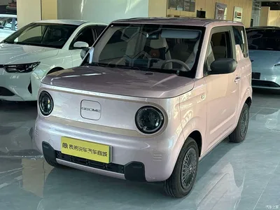 2024 Geely Galaxy Panda mini 200km Endurance Bear, фото 1, лот 10428852