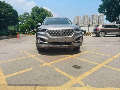 2020 WEY VV6 2.0T 2WD Smart Protection+, фото 2, лот 10906988