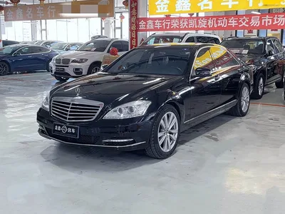 2008 Mercedes-Benz S-Class Model S 300 L Luxury, фото 1, лот 10269005