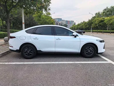 2025 BYD Qin PLUS DM-i Smart Drive 55KM Leader, фото 4, лот 10900054