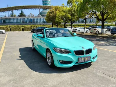 2015 BMW 2 Series (Import) 218i Convertible Coupe, фото 2, лот 10343412