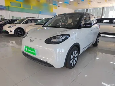 2024 Wuling Motors Wuling Bingo 333km Comfort Edition, фото 1, лот 10368548