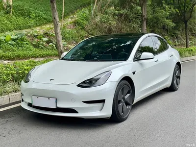 2022 Tesla Model 3 Model Rear-Wheel Drive Version, фото 1, лот 10450175