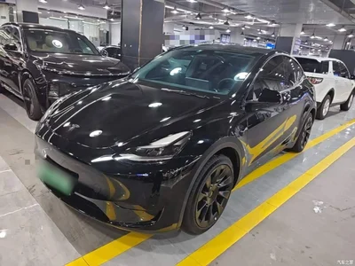 2022 Tesla Model Y Rear-Wheel Drive Version, фото 2, лот 10369973
