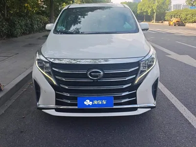 2021 GAC Trumpchi Trumpchi M8 Leading Show Series 390T Prestige Edition, фото 2, лот 10679740
