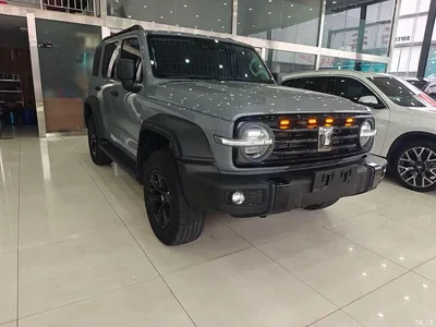 2023 Tank 300 Off-Road Edition 2.0T Conqueror, фото 3, лот 10345140