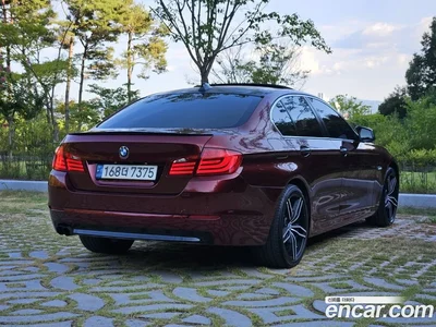2010 BMW 5-Series 520d, фото 2, лот 10179167