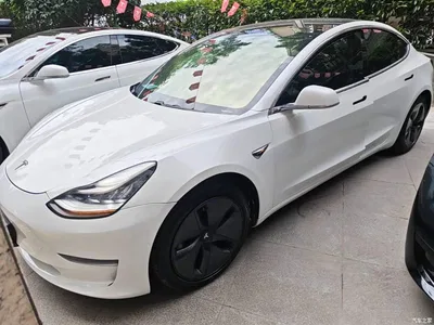 2019 Tesla Model 3 (Import) Long Range All-Wheel Drive Edition, фото 1, лот 10369424