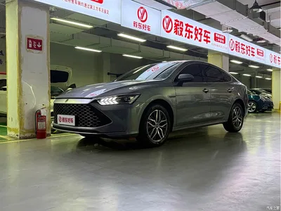 2023 BYD Qin PLUS Champion Edition DM-i 120KM Leading Type, фото 1, лот 10444881