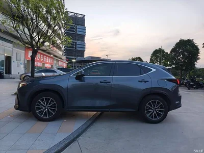 2022 Lexus NX 260 FWD Joy Creation Edition, фото 3, лот 11527478