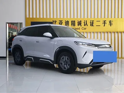 2025 BYD Yuan UP Model 301KM Navigator, фото 3, лот 10763718