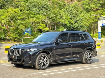 2025 BMW X5 Model xDrive 30Li Exclusive M Sport Blackout Package, фото 1, лот 10828001
