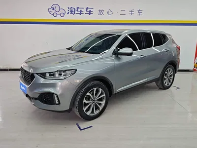 2018 WEY VV6 2.0T 2WD Super Luxury China V, фото 1, лот 10451661