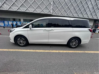 2020 Buick GL8 Model ES Landglory 653T Premium, фото 2, лот 11211810