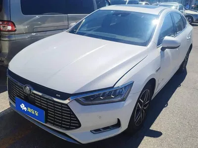 2018 BYD Qin Pro New Energy EV500 Smart Connected Leader Premium, фото 1, лот 10957848