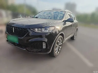 2018 WEY VV6 2.0T 2WD Super Luxury China V, фото 2, лот 11502065