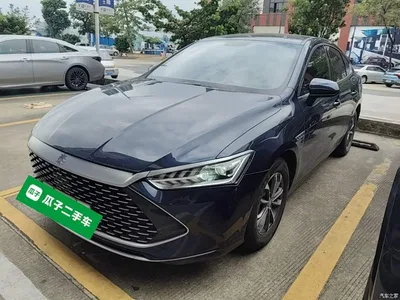 2023 BYD Qin PLUS Champion Edition DM-i 55KM Leading, фото 2, лот 10389635