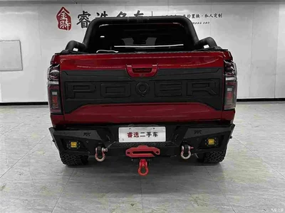 2023 Great Wall Pao 2.0T Off-road Edition Auto Petrol 4WD Premium, фото 4, лот 11565833