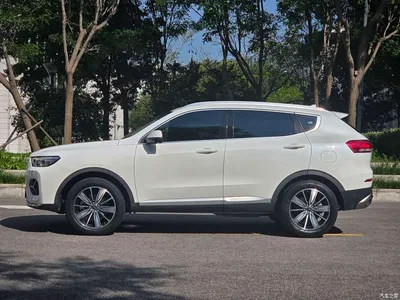 2020 Haval H6 2.0GDIT Automatic Platinum Luxury Edition, фото 4, лот 10306176