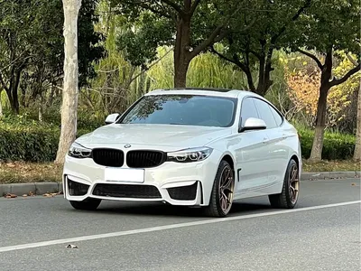 2019 BMW 3 Series GT 320i Fashion Model, фото 1, лот 10473598